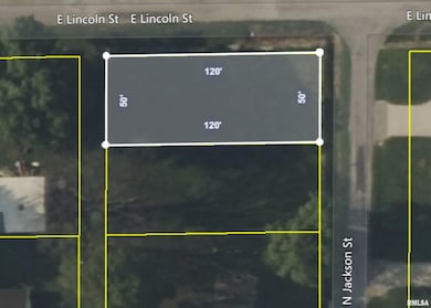 0 Jackson St, Hurst, IL 62949 - photo 3