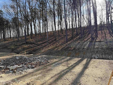 139 Kinley Loop, Little Rock, AR 72223 - photo 3