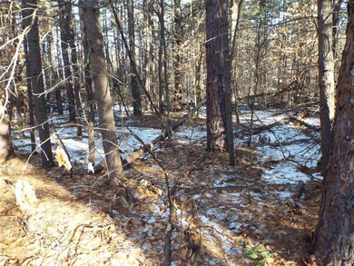 117 Gorman Terrace, Wakefield, NH 03872 - photo 5