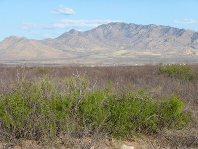 08 Looking WSW toward Peloncillo Mts., N