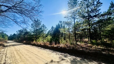 Barnwell LAnd Listing photosIMG_7524