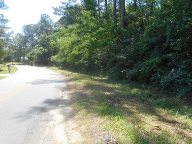 Lot 33 Horseshoe Bend, Cairo, GA 39828 - photo 3