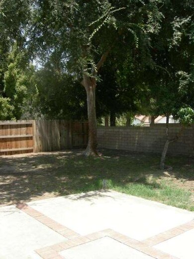Large backyard...waiting for a hammock!