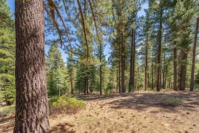 12721 Granite Dr, Truckee, CA 96161 - photo 3