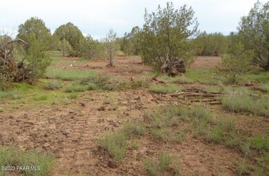 1802 Cumberland Rd, Ash Fork, AZ 86320 - photo 5