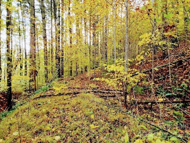 Access road leading to center of lot