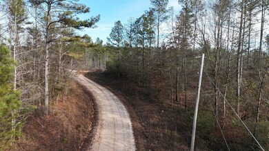 County Road 176, Piedmont, AL 36272 - photo 5