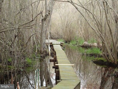 1018 Royal Ave, Franklinville, NJ 08322 - photo 2