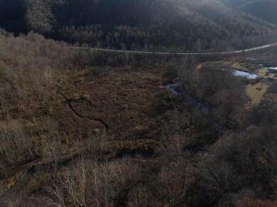 000 Erline Rd, Oneida, KY 40972 - photo 6