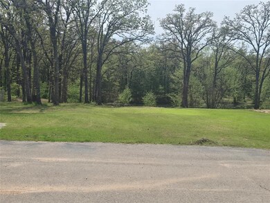 43905 Limestone Dr, Shawnee, OK 74804 - photo 5