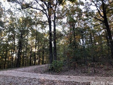 614 Cr 765, Brookland, AR 72417 - photo 6