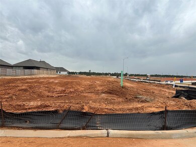 18853 Lucas Michael Way, New Caney, TX 77357 - photo 7