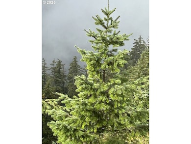 0 Calapooia Rd unit 498469836, Sweethome, OR 97386 - photo 5