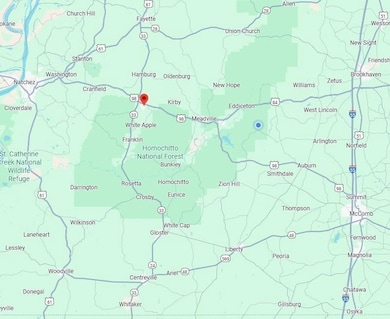 Alabama St, Roxie, MS 39661 - photo 2