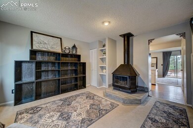 Living area featuring light carpet, a textured ceiling, and a wood stove