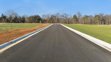 0 E Highway 137, Fairland, OK 74343 - photo 3