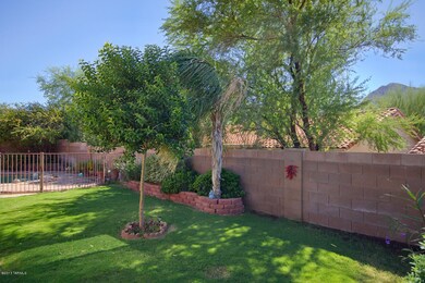 Rear Yard
