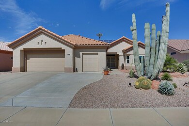 Beautiful Cactus in the front yard.