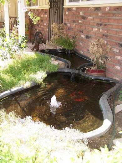 Tranquil fish pond