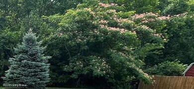 244 Deer Park Way, Mount Washington, KY 40047 - photo 7