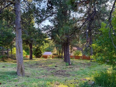 Mature Trees