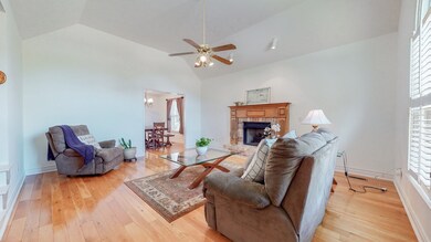 317 Castlemere Ct, Murfreesboro, TN 37130 - photo 4