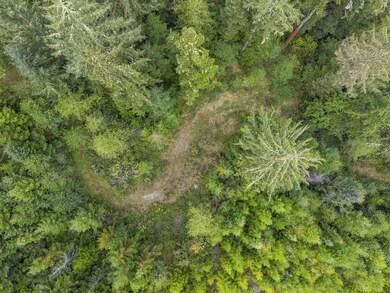 000 Williams Creek Rd, Ferndale, CA 95536 - photo 7