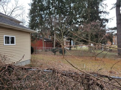 back yard