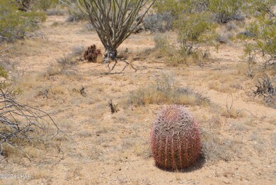4 Lots Mohave Rd, Yucca, AZ 86438 - photo 4