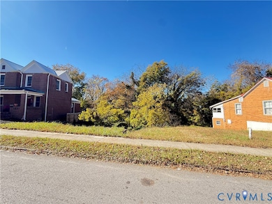 0 Holbrook St, Danville, VA 24541 - photo 3