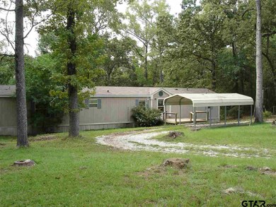 13738 County Road 2241, Tyler, TX 75707 - photo 7