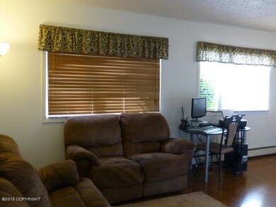 2 Nice Big Windows in Livingroom