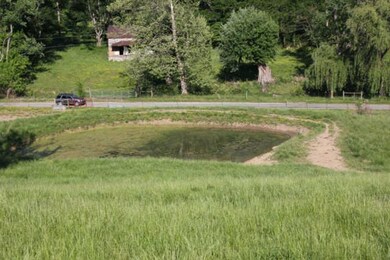 Nice pond inside fencing