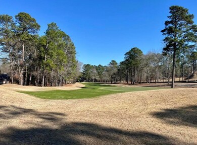 429 True Cedar Way, Aiken, SC 29803 - photo 4