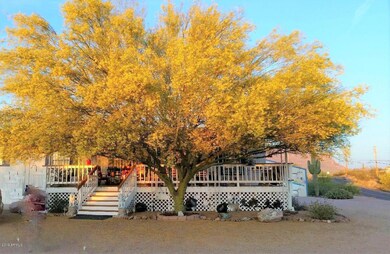 ACACIA COLORFUL TREE