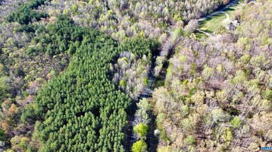 0 Owens Creek Rd unit 663057, Mineral, VA 23117 - photo 5