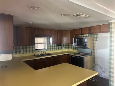 808 Flamingo Rd, Granbury, TX 76049 - photo 4