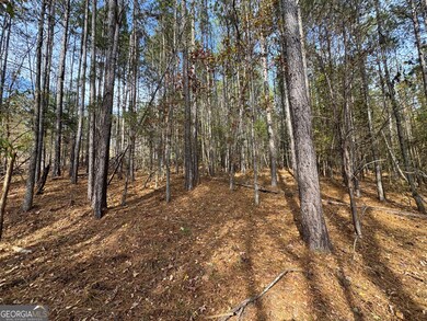 0 Old Middleton Rd unit 10651016, Elberton, GA 30635 - photo 6