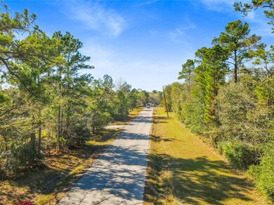 TBD Chandler Ln, Huntsville, TX 77320 - photo 5