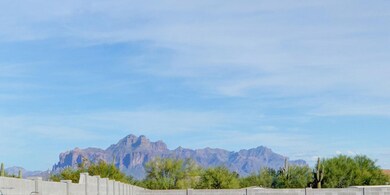 1027 N Signal Butte Rd, Mesa, AZ 85207 - photo 3