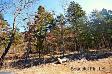 Lot 104 Summer Rd, Ruth B Rural Township, MO 65686 - photo 3