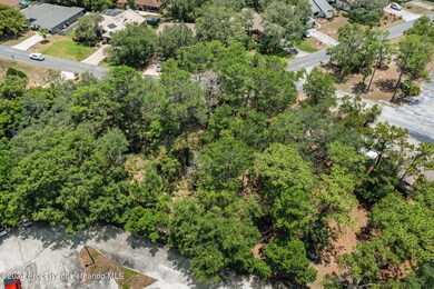 2-web-or-mls-DJI_0231