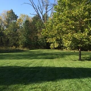 View out back