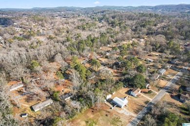 712 Earline St, Birmingham, AL 35215 - photo 6