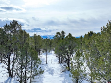Lot 28 Fisher Canyon Dr, Ridgway, CO 81432 - photo 3