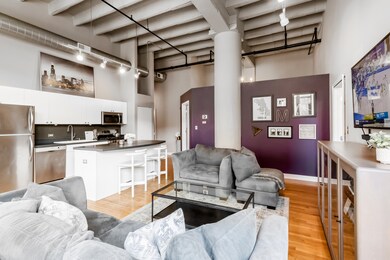 Tower Lofts unit 208, Chicago, IL 60657 - photo 5