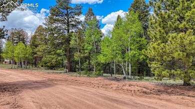26 N Eldorado Cir, Florissant, CO 80816 - photo 5