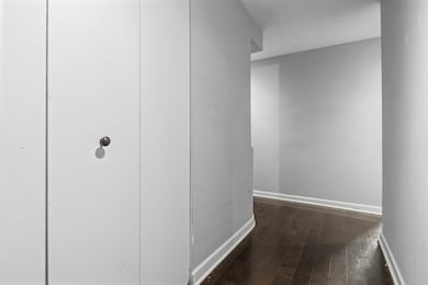 Malibu East Condominium unit 10D, Chicago, IL 60660 - photo 4