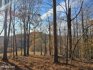 Tbd Trents Chapel Rd, Sneedville, TN 37869 - photo 2