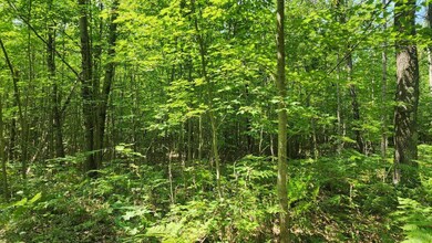 IMG_20241001_175753 - Copy